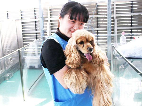 ワクチン接種組と、お散歩組！